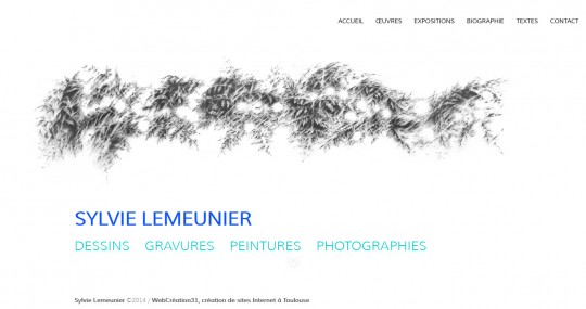  Sylvie Lemeunier : Dessins, gravures, peintures et photographies